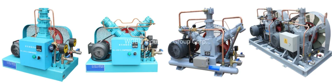 Air Gas Pump Oil Free O2 Compressor 150 Bar Oxygen Booster for Fish Aquaculture