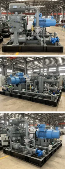 Dw-10/2 Best Quality High Pressure Oil Free Ammonia Hydrogen Natural Gas Piston Compressor Reciprocating Compressor Price